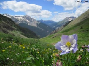 Columbine Boulder Gulch San Juan Mountains