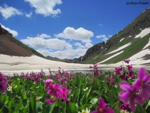 Boulder Gulch lake with wildflowers