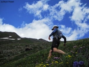 Boulder Gulch wildflowers
