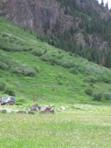 Cunningham Gulch Aid Station