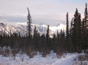 Iditarod Trail Invitational 2012 - Alaska Range