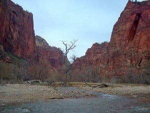 Zion National Park - Dakota Jones