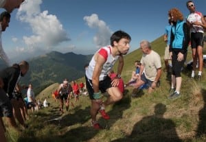 Tofol Castanyer - 2012 Giir di Mont