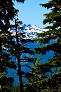 Waldo 100k - Mount Fuji