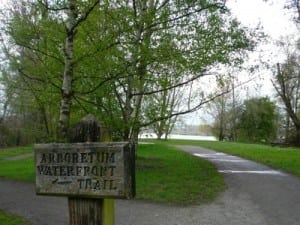 Seattle Trail Running - Arboretum