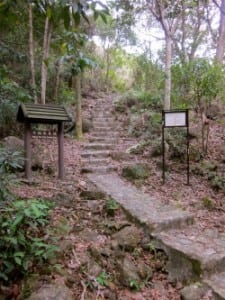 Hong Kong trail running
