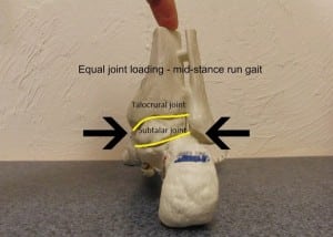 Neutral foot - rear view