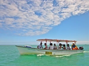 Rodrigues - relaxation