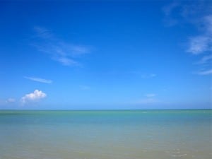 Trail de Rodrigues - Indian Ocean