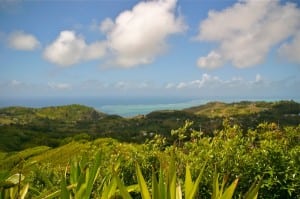 view from top of Mont Limon