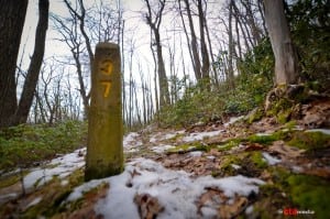 Laurel Highlands Ultra