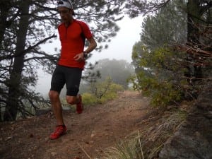 GORE RUNNING WEAR X-Running Zip Shirt