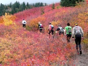 SAD running - early winter