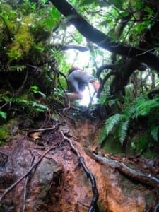 Jungle Gym - Fuego y Agua