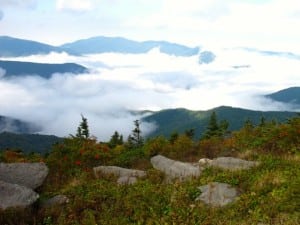 Mount Mitchell - Asheville
