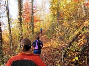 Shut-In Trail - Asheville