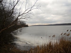 Saganashkee Slough - Chicago Trail Running