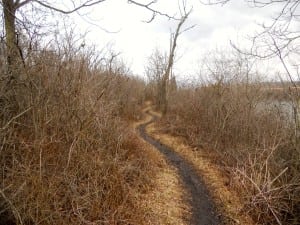 Trail running - Cal-Sag Channel - Chicago