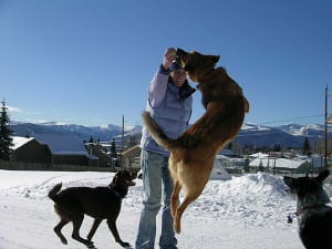 Danelle Ballengee-Taz the dog