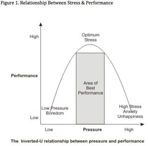 Relationship between performance and stress