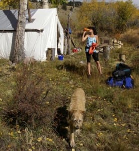 Jodee Adams-Moore - High Country Camp