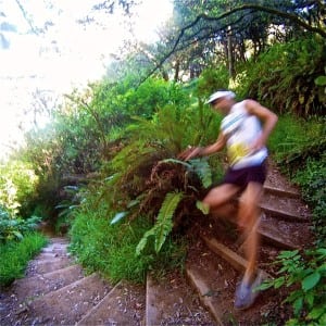 Dave Mackey - Dipsea