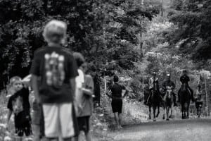 2013 Vermont 100 - horses