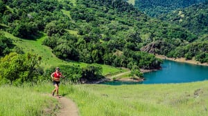 Cassie Scallon - 2013 Lake Sonoma 50 mile