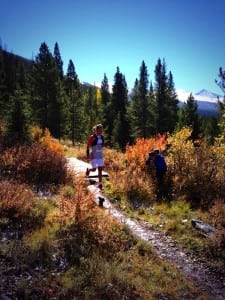 Emelie Forsberg - 2013 UROC 100k - trees