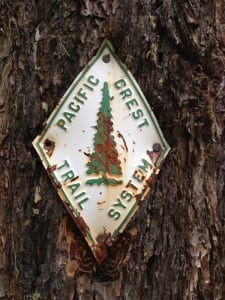 PCT sign
