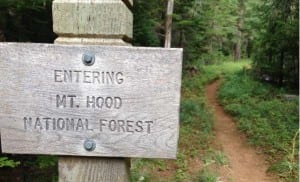 Mount Hood sign
