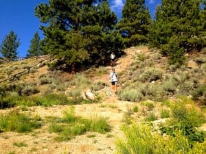 Ian Sharman - Nick Clark - 2013 Leadville 100