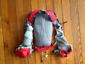 Scott Jurek's - Ultimate Direction Wasp 2010