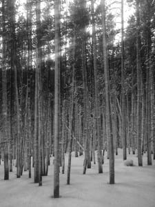 Processed with VSCOcam