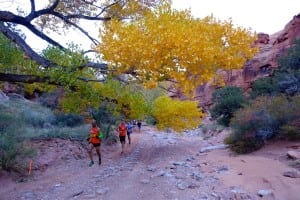 Joe Gray - 2013 USATF Half Marathon Trail National Champion