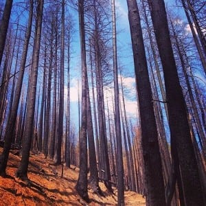 5- top of Devils Thumb