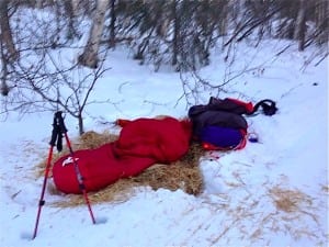 Shawn McTaggart - Iditarod Trail Invitational 5