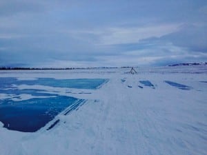 Shawn McTaggart - Iditarod Trail Invitational 4