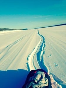 Shawn McTaggart - Iditarod Trail Invitational 3