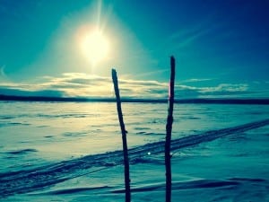 Shawn McTaggart - Iditarod Trail Invitational 1