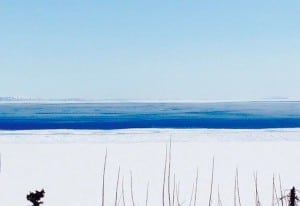 Shawn McTaggart - Iditarod Trail Invitational 6