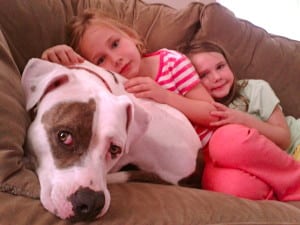 Leon Lutzs dog Mamie 2