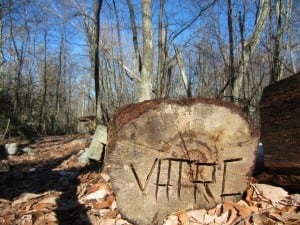 VHTRC tree