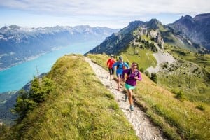 Berner Oberland - Patitucci