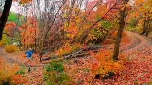 Anna Frost Bear 100 4