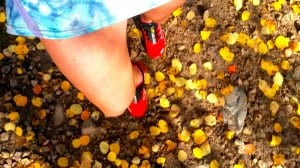 Anna Frost - Bear 100 1