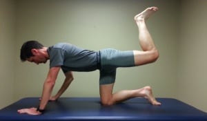 Low Back Pain - All Fours Bent Knee Leg Extension