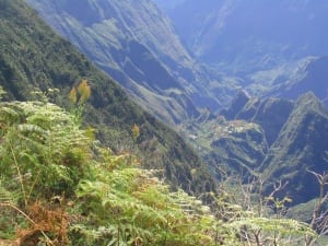 Maïdo - Grand Bénare - 2014 Diagonale des Fous