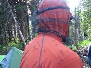 Mosquito Headnet Glacier National Park