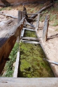Backcountry Water Source Canyonlands National Park